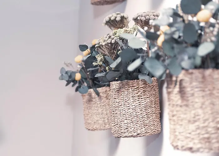 Salvia * Arcos de las Salinas