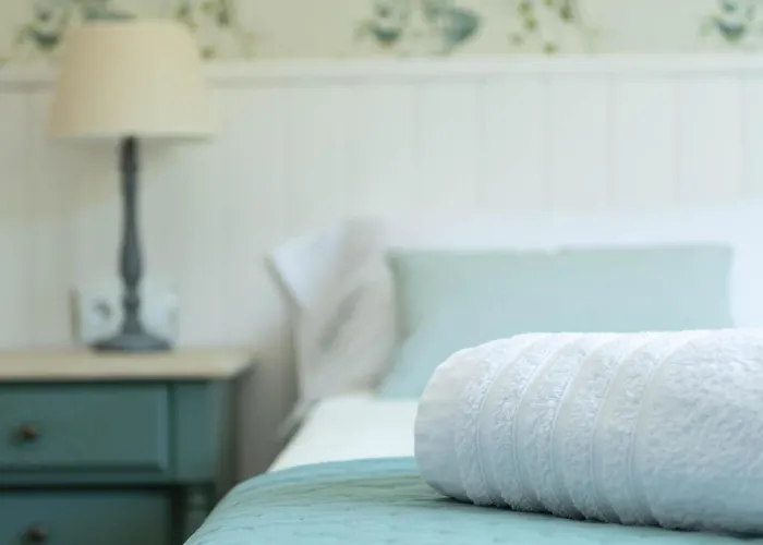 Salvia Lantställe *