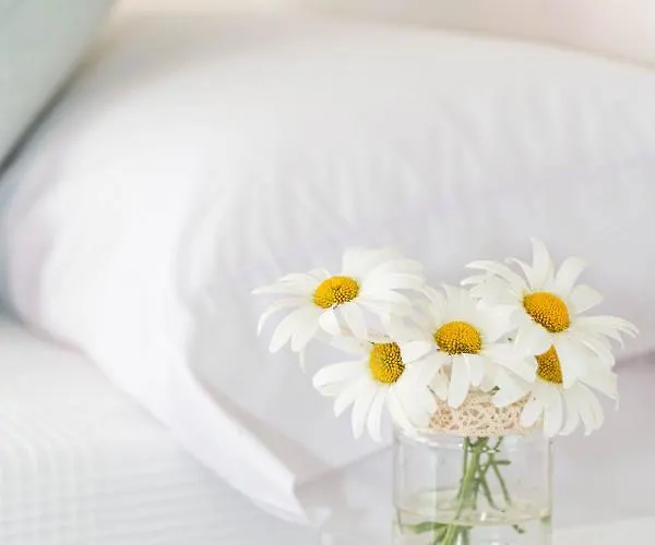 Lantställe Salvia Arcos de las Salinas